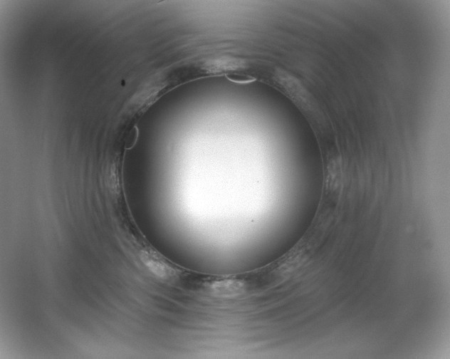 X0000067840426200604171158