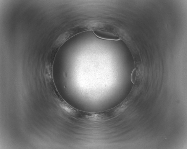 X0000067840430200604171157