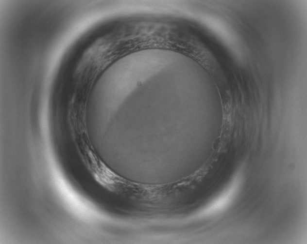 X0000067840431200604171157