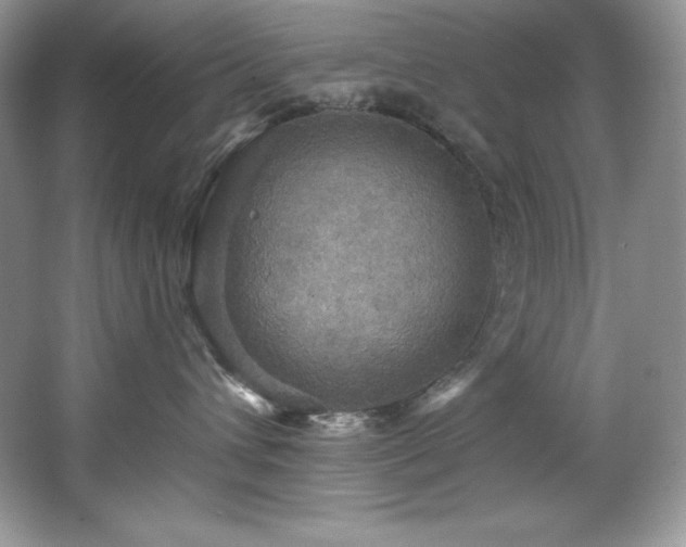 X0000067840432200604171157