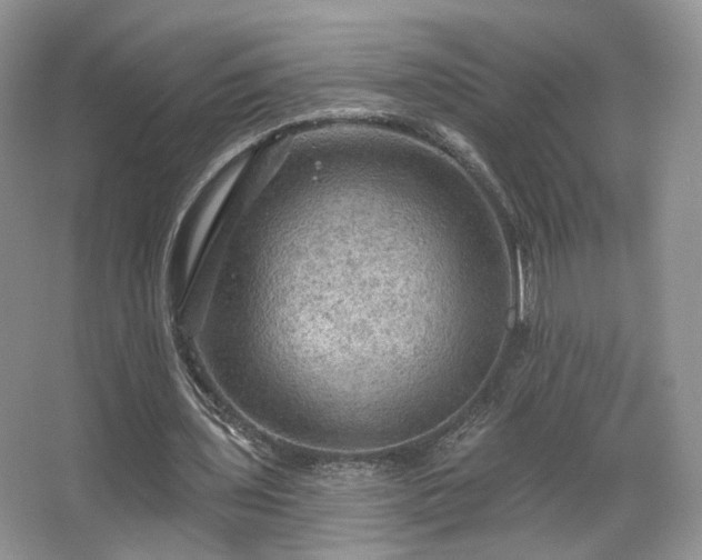 X0000067840435200604171157