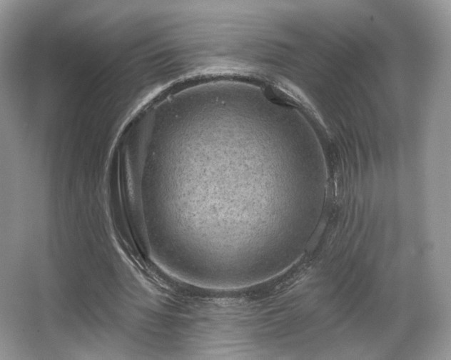 X0000067840436200604171157
