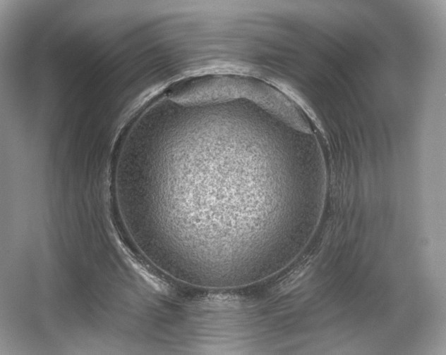 X0000067840437200604171157