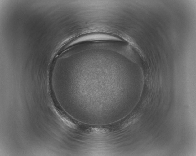 X0000067840442200604171157