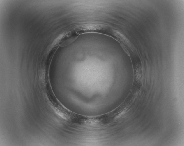 X0000067840444200604171157