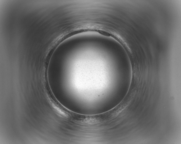 X0000067840445200604171157