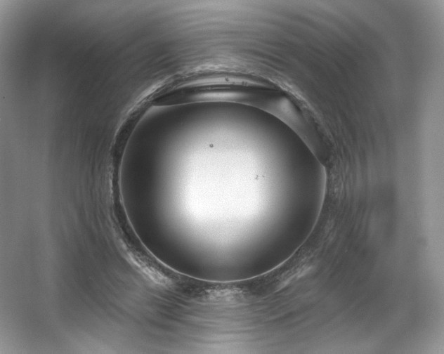 X0000067840446200604171157