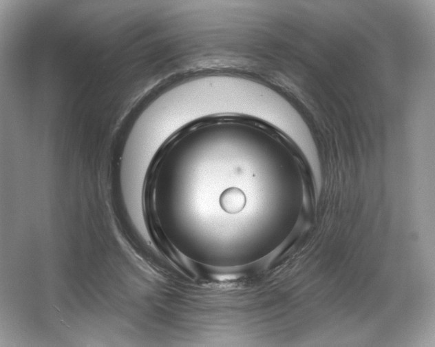 X0000067840448200604171157