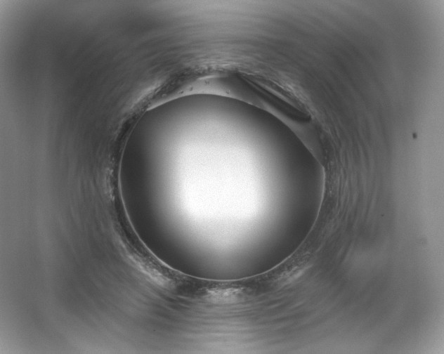 X0000067840450200604171157