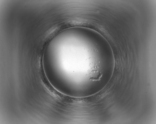 X0000067840454200604171157