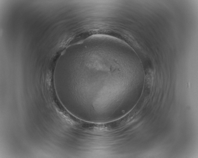 X0000067840458200604171157