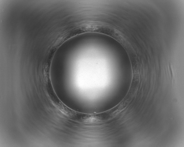 X0000067840460200604171157