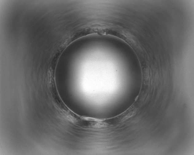 X0000067840463200604171157