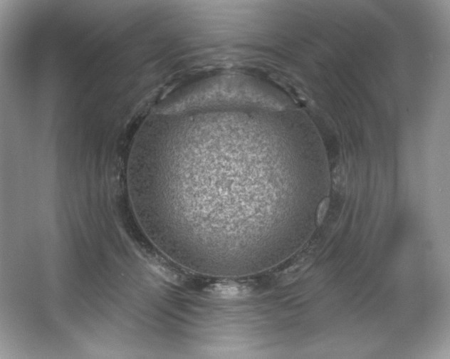 X0000067840464200604171157