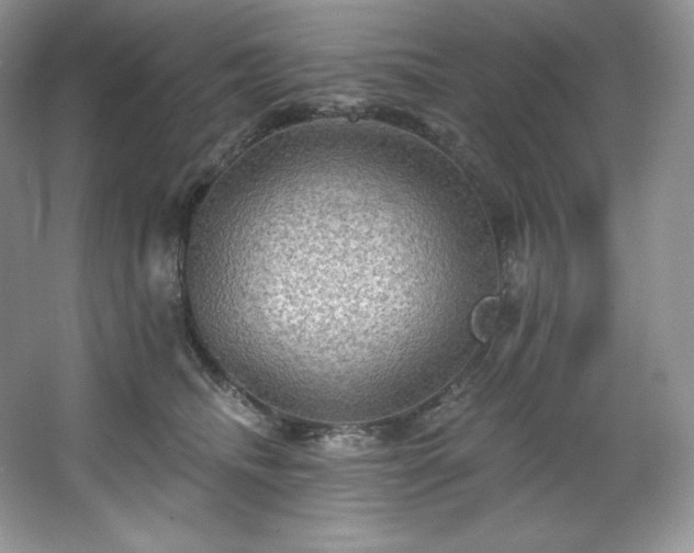X0000067840468200604171157