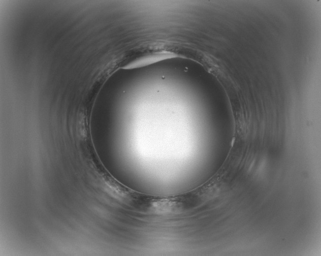 X0000067840470200604171157