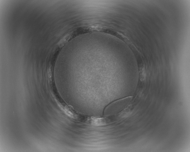 X0000067840472200604171157