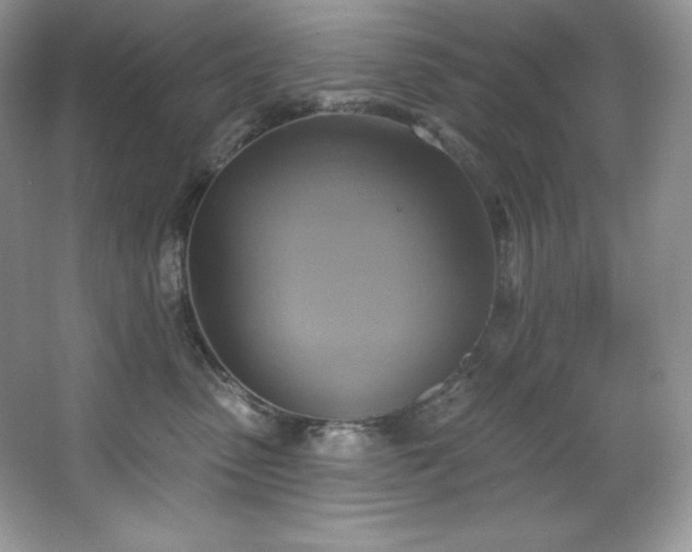 X0000067840475200604171157