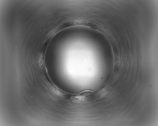 X0000067840478200604171157