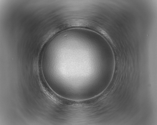 X0000067840482200604171157