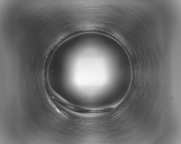 X0000067840485200604171157