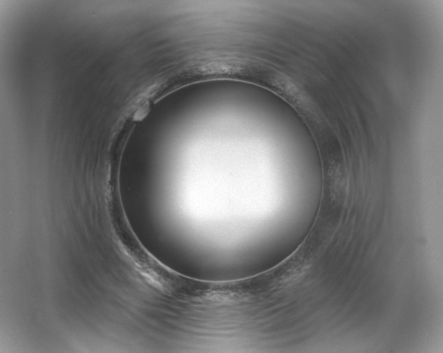 X0000067840490200604171156