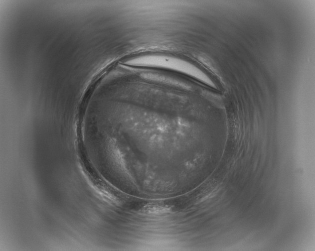 X0000067840491200604171156