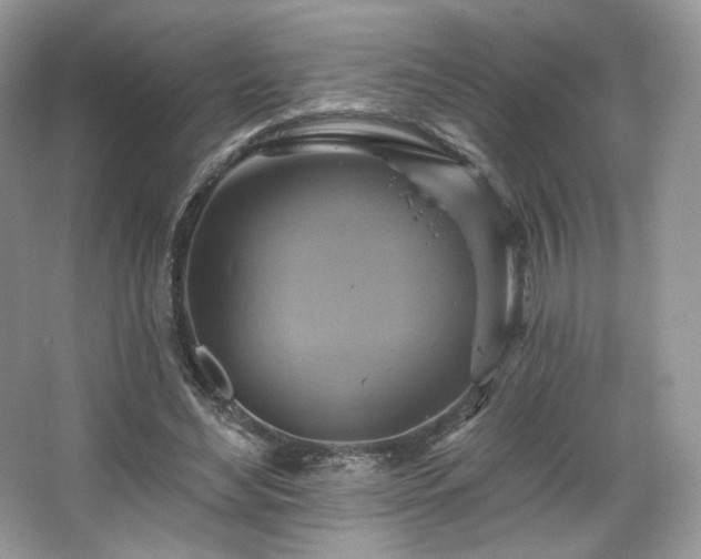 X0000067840492200604171156