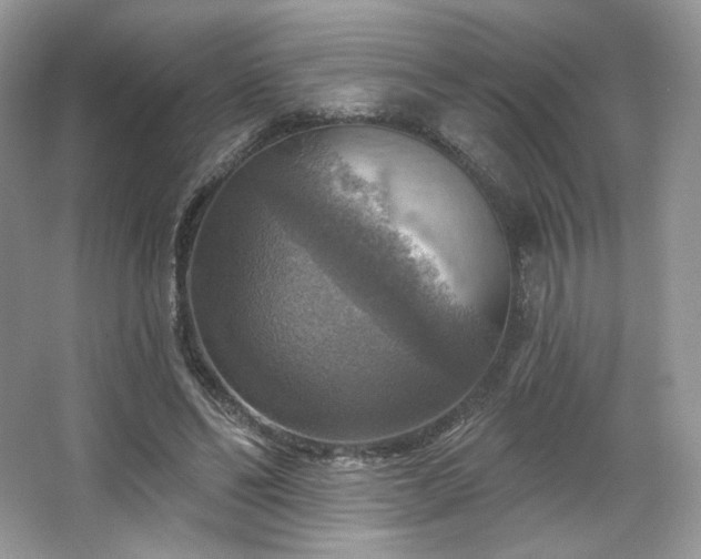 X0000067840494200604171156