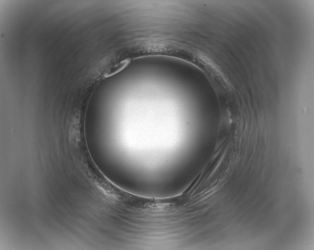 X0000067840497200604171156