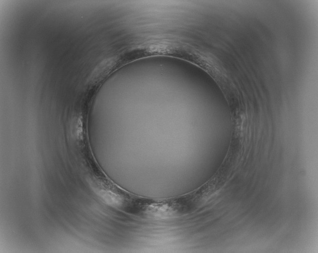 X0000067840502200604171156