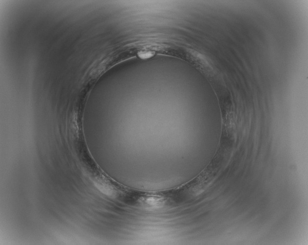 X0000067840506200604171156