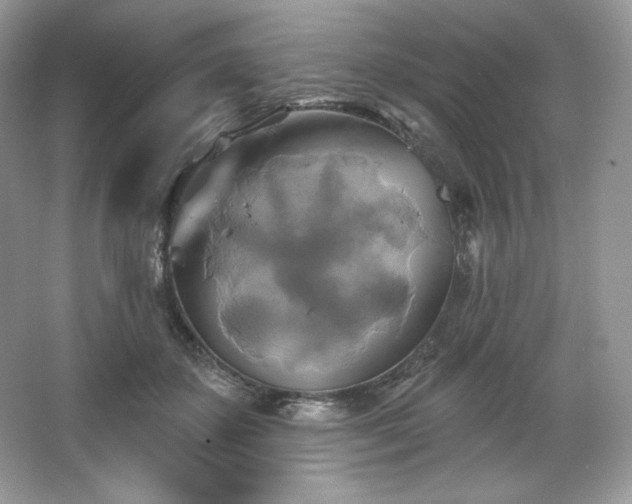 X0000067840507200604171156