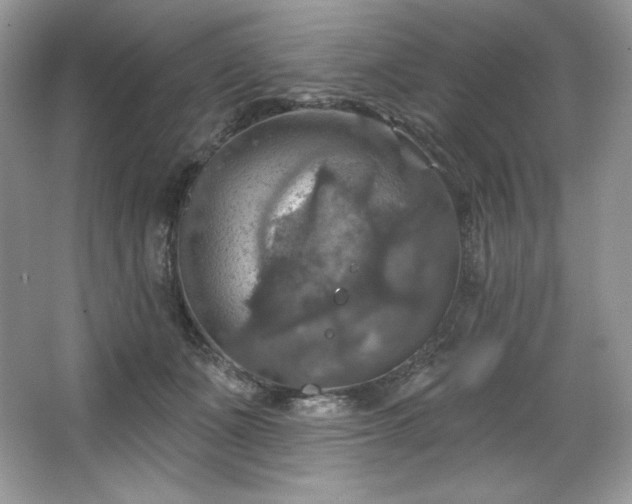 X0000067840511200604171156