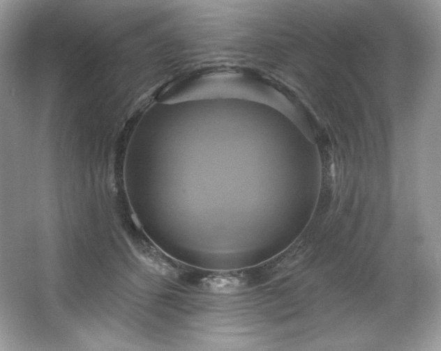 X0000067840512200604171156