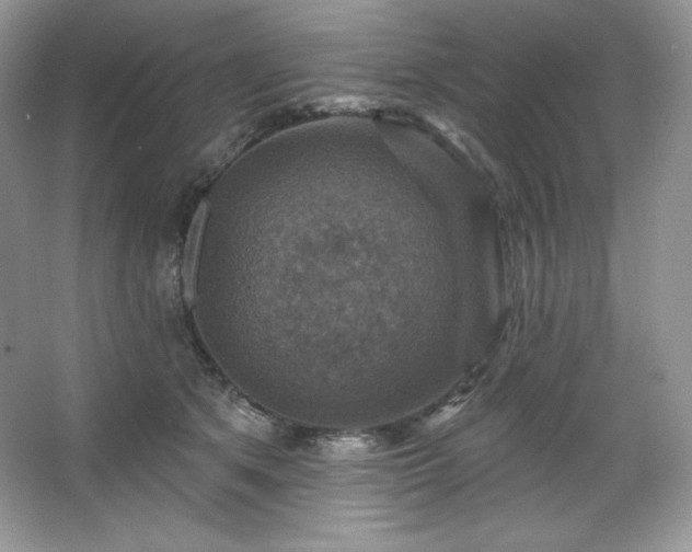 X0000067840513200604171156
