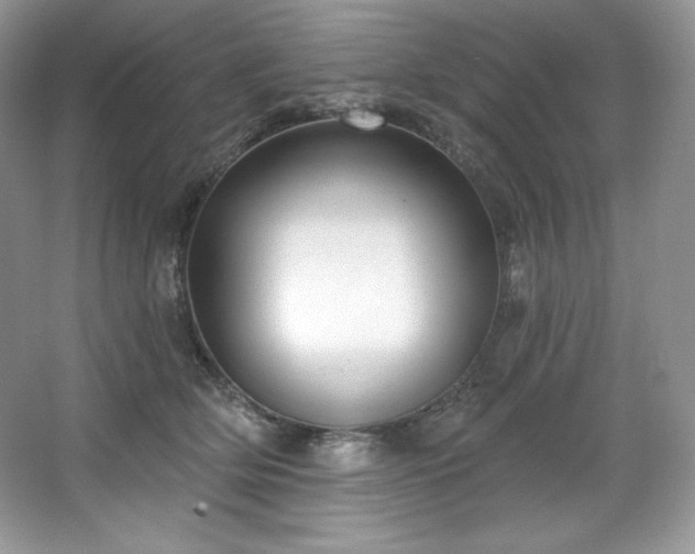 X0000067840514200604171156
