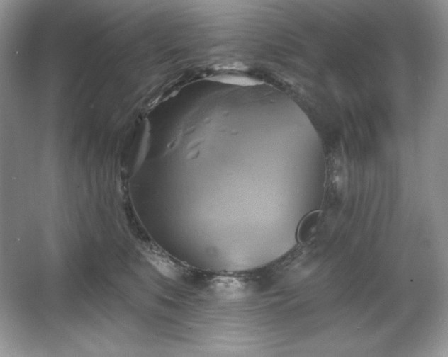 X0000067840519200604171156