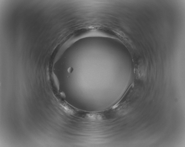 X0000067840520200604171156