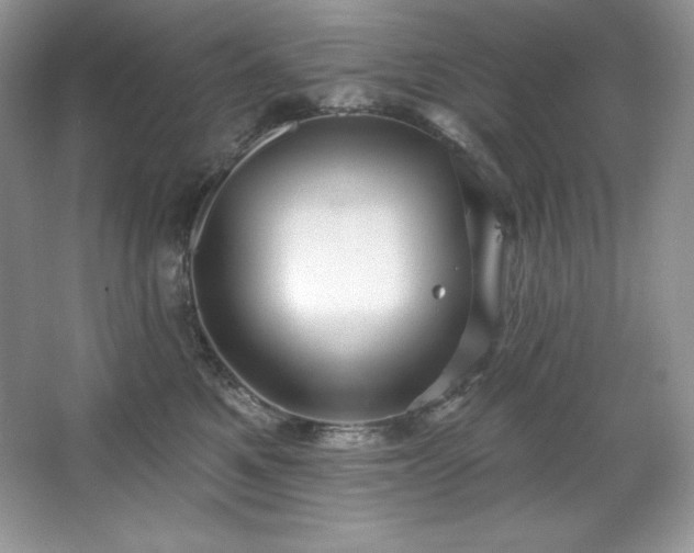 X0000067840521200604171156