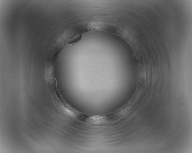 X0000067840526200604171156