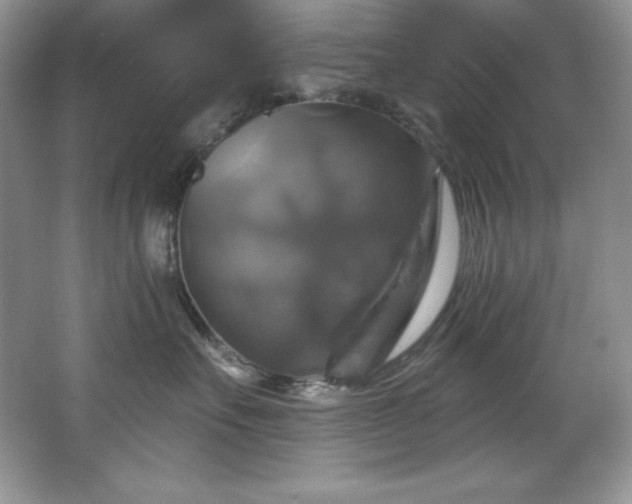X0000067840527200604171156