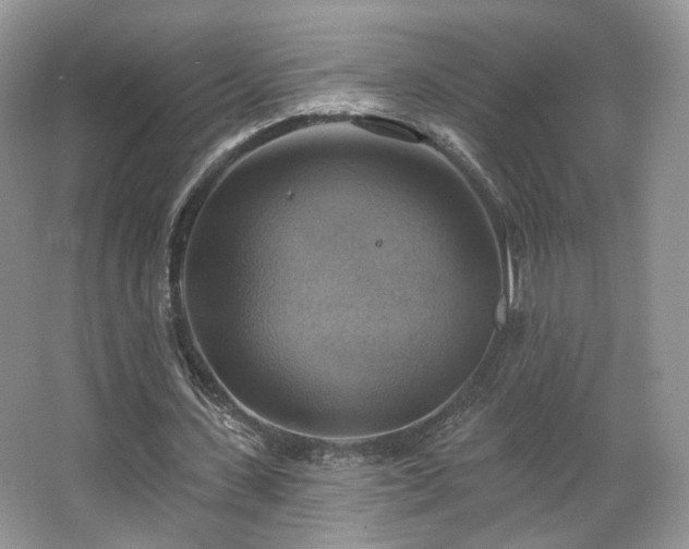 X0000067840531200604171155