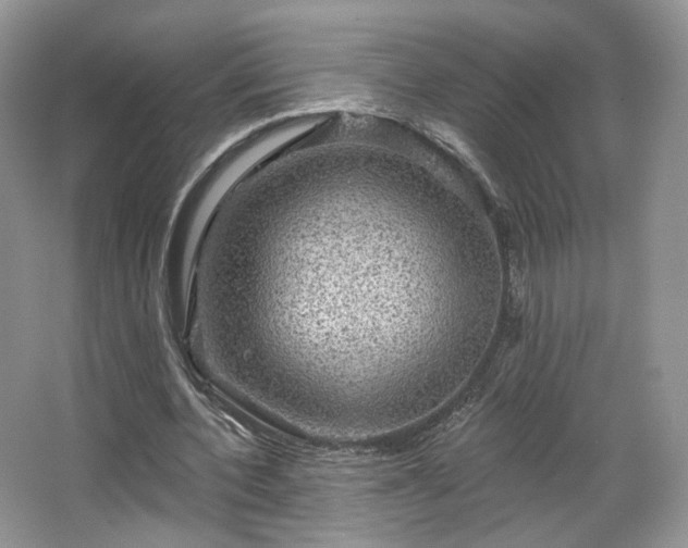 X0000067840532200604171155