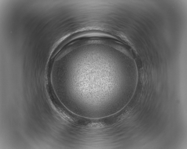 X0000067840536200604171155