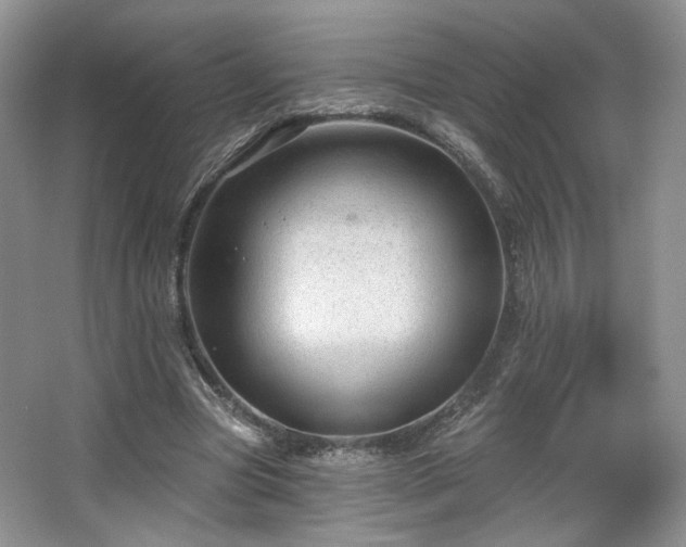 X0000067840537200604171155