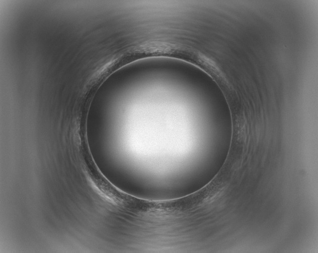 X0000067840538200604171155