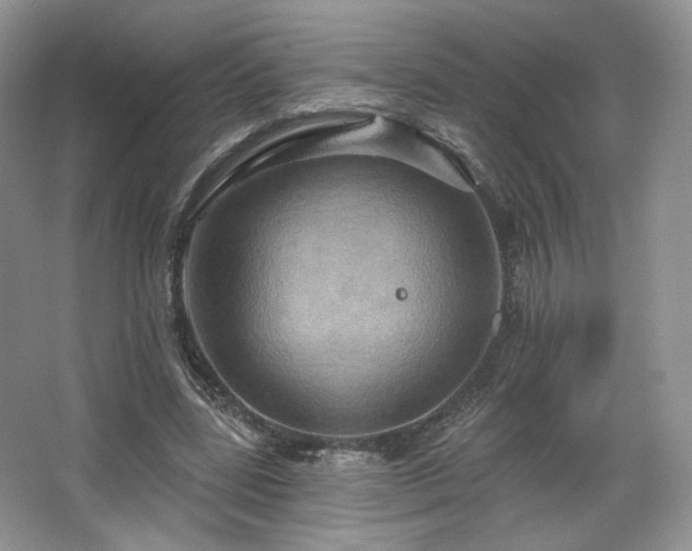 X0000067840539200604171155