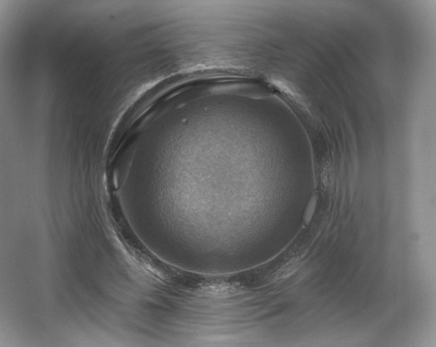X0000067840540200604171155