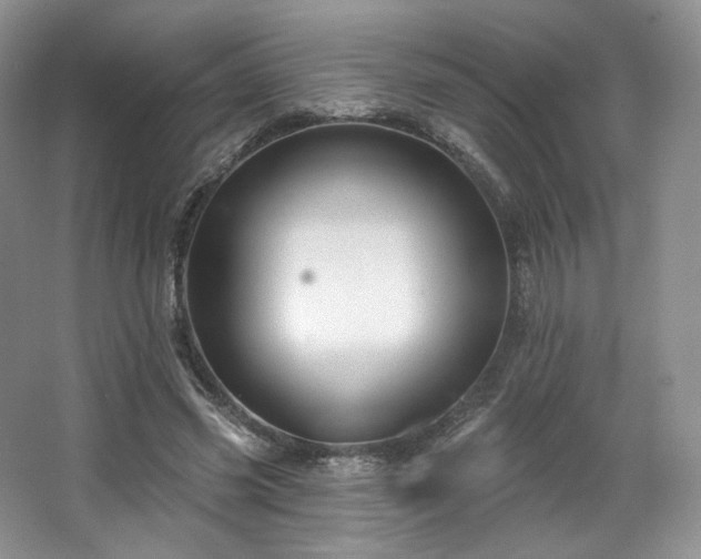 X0000067840541200604171155